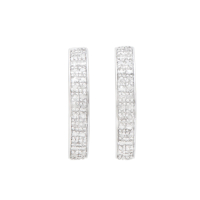 0.25 CTW Natural Diamonds Rhodium Plated Designer Earrings | Estimated Retail Value: $1,229 (AMG) at PristineAuction.com