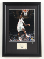 LeBron James Cavaliers Upper Deck Collectibles LE Custom Framed Photo Display at PristineAuction.com