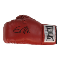 Roy Jones Jr. Signed Everlast Boxing Glove (Schwartz) at PristineAuction.com