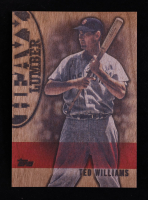 Ted Williams 2024 Topps Heavy Lumber #HL52 at PristineAuction.com