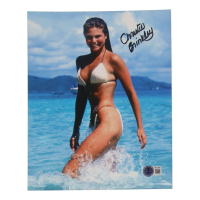 Christie Brinkley Signed 8x10 Photo (Beckett) at PristineAuction.com