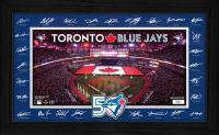 Blue Jays LE 2026 "Signature Field" Custom Framed Photo at PristineAuction.com