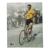 Bernard Hinault Signed 8x10 Photo (Beckett) at PristineAuction.com