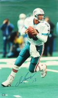 Dan Marino Signed Dolphins 24x40 Photo (Marino) at PristineAuction.com