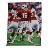Jake Plummer Signed Cardinals 16x20 Photo Inscribed "Snake" (Schwartz) at PristineAuction.com