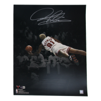 Dennis Rodman Signed Bulls 16x20 Photo (Beckett) at PristineAuction.com