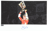 Kevin Harvick Signed LE 2014 Championship 12x18 Print (Harvick COA) at PristineAuction.com