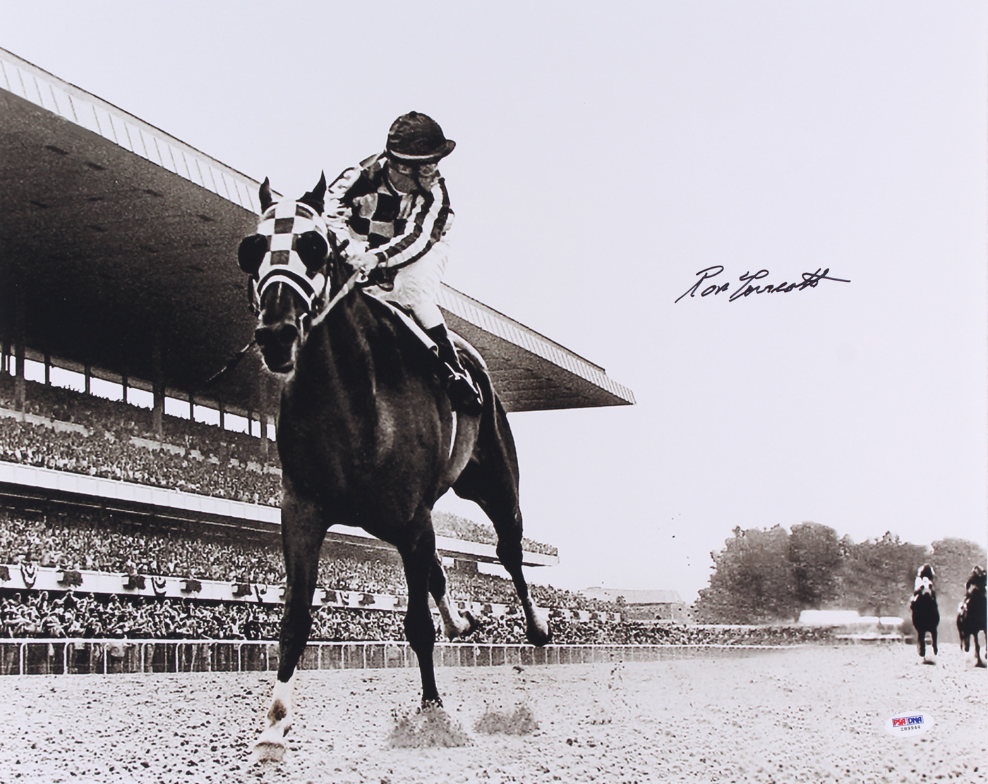 Ron Turcotte Signed 16x20 Photo "Looking Back" on Secretariat at Belmont Stakes (PSA COA) at PristineAuction.com Ron Turcotte Signed 16x20 Photo "Looking Back" on Secretariat at Belmont Stakes (PSA COA) at PristineAuction.com