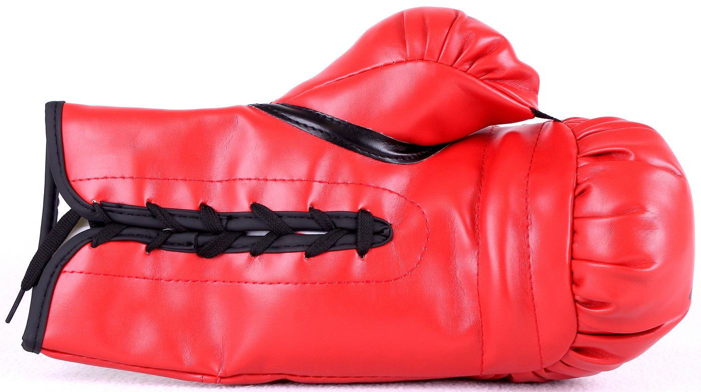 Earnie Shavers Signed Everlast Boxing Glove with Extensive Inscription Referencing Muhammad Ali (Shavers Hologram) at PristineAuction.com Earnie Shavers Signed Everlast Boxing Glove with Extensive Inscription Referencing Muhammad Ali (Shavers Hologram) at PristineAuction.com