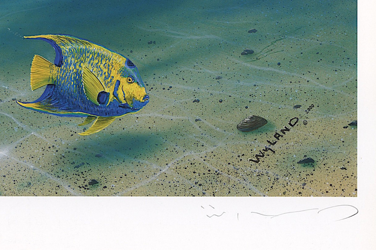 Wyland "Dreaming of Paradise" Signed Limited Edition 17.5" x 27" Lithograph #673/750 (Wyland Galleries COA) at PristineAuction.com Wyland "Dreaming of Paradise" Signed Limited Edition 17.5" x 27" Lithograph #673/750 (Wyland Galleries COA) at PristineAuction.com