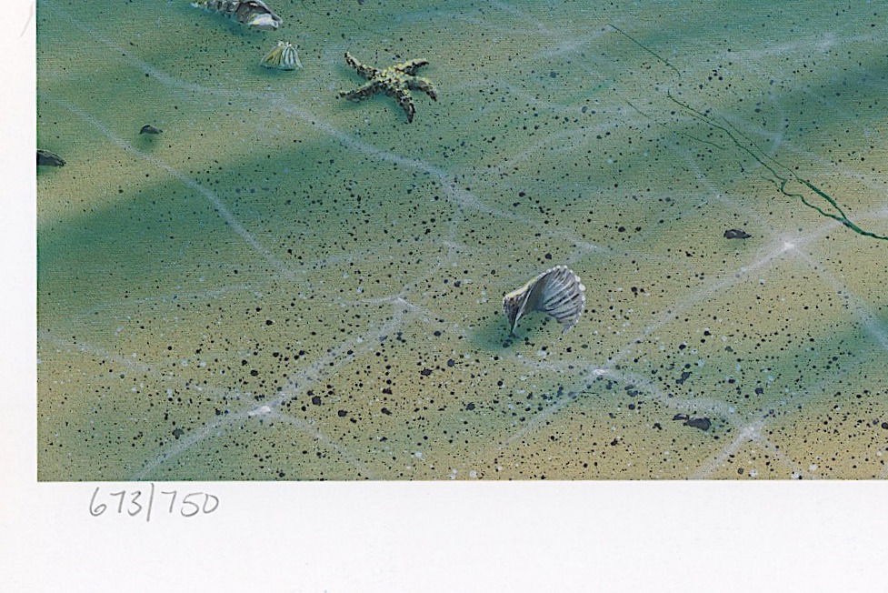 Wyland "Dreaming of Paradise" Signed Limited Edition 17.5" x 27" Lithograph #673/750 (Wyland Galleries COA) at PristineAuction.com Wyland "Dreaming of Paradise" Signed Limited Edition 17.5" x 27" Lithograph #673/750 (Wyland Galleries COA) at PristineAuction.com