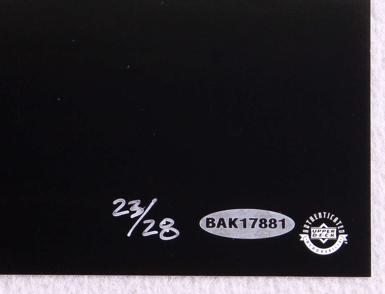 Adrian Peterson Signed LE Vikings "NFL Rushing Record" 16x20 Photo (UDA COA) at PristineAuction.com Adrian Peterson Signed LE Vikings "NFL Rushing Record" 16x20 Photo (UDA COA) at PristineAuction.com