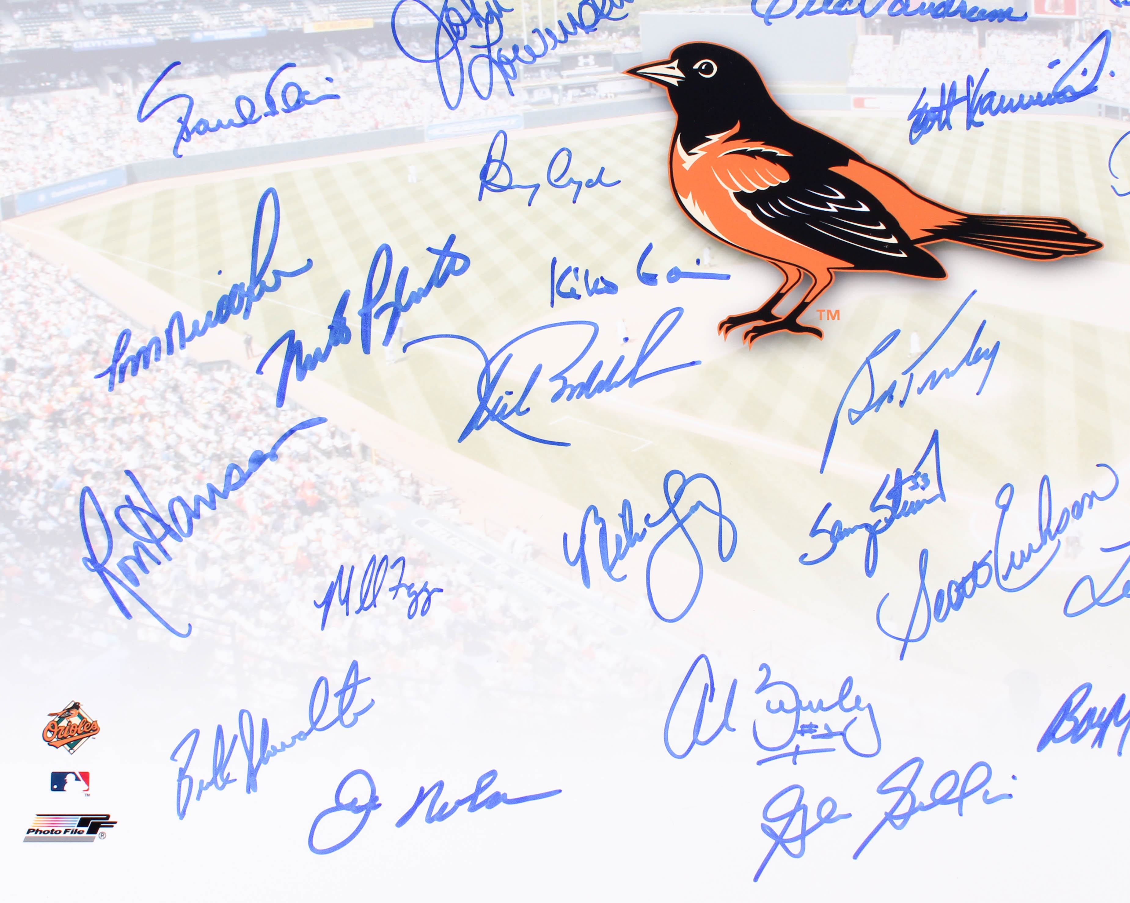 Baltimore Orioles 16x20 Team Signed Photo with (37) Signatures Including Jim Palmer, Boog Powell (MAB COA) at PristineAuction.com Baltimore Orioles 16x20 Team Signed Photo with (37) Signatures Including Jim Palmer, Boog Powell (MAB COA) at PristineAuction.com