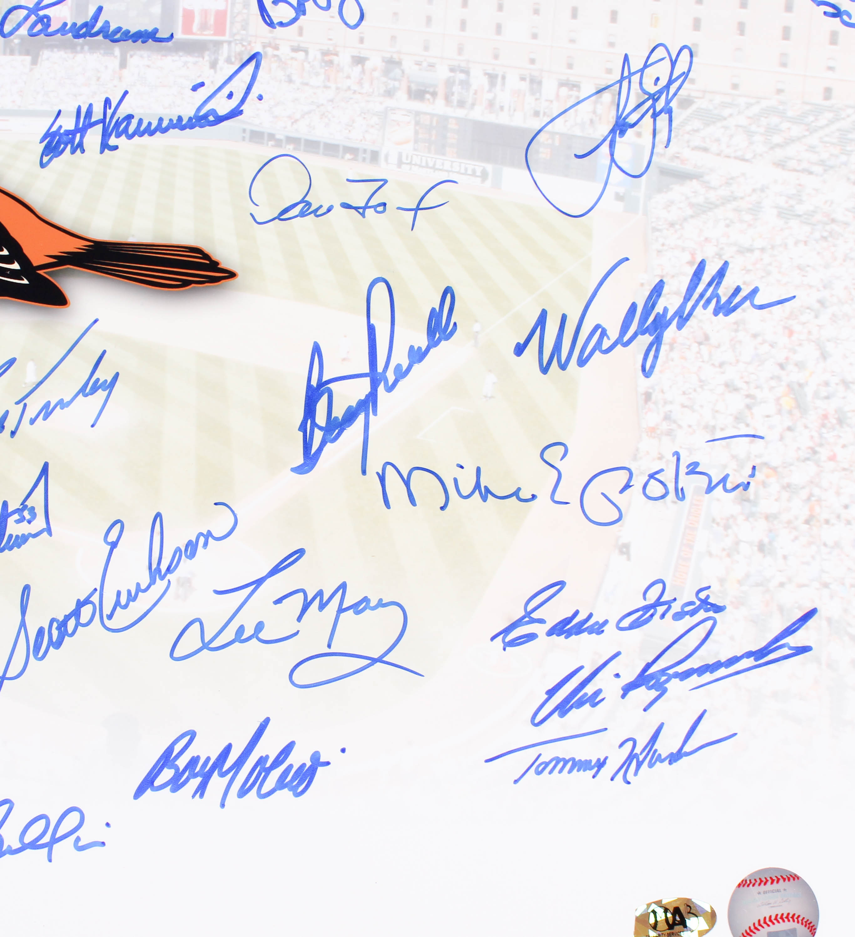 Baltimore Orioles 16x20 Team Signed Photo with (37) Signatures Including Jim Palmer, Boog Powell (MAB COA) at PristineAuction.com Baltimore Orioles 16x20 Team Signed Photo with (37) Signatures Including Jim Palmer, Boog Powell (MAB COA) at PristineAuction.com
