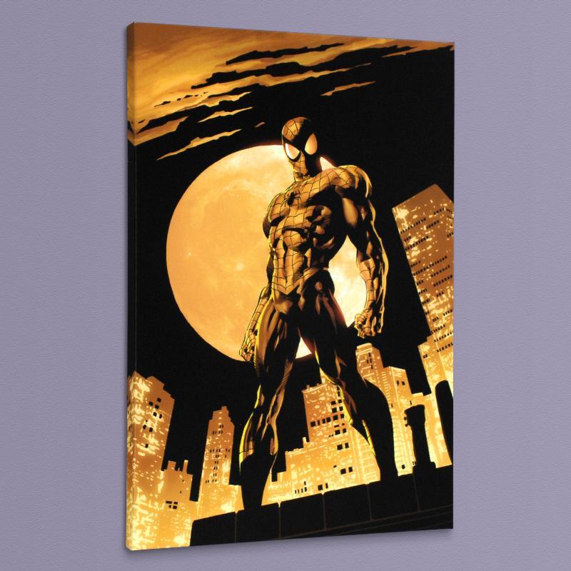 "Amazing Spider-Man #528" Limited Edition 18x27 Giclee on Canvas by Mike Deodato Jr. & Marvel Comics at PristineAuction.com "Amazing Spider-Man #528" Limited Edition 18x27 Giclee on Canvas by Mike Deodato Jr. & Marvel Comics at PristineAuction.com