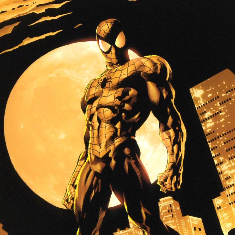 "Amazing Spider-Man #528" Limited Edition 18x27 Giclee on Canvas by Mike Deodato Jr. & Marvel Comics at PristineAuction.com "Amazing Spider-Man #528" Limited Edition 18x27 Giclee on Canvas by Mike Deodato Jr. & Marvel Comics at PristineAuction.com