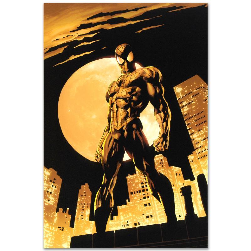 "Amazing Spider-Man #528" Limited Edition 18x27 Giclee on Canvas by Mike Deodato Jr. & Marvel Comics at PristineAuction.com "Amazing Spider-Man #528" Limited Edition 18x27 Giclee on Canvas by Mike Deodato Jr. & Marvel Comics at PristineAuction.com