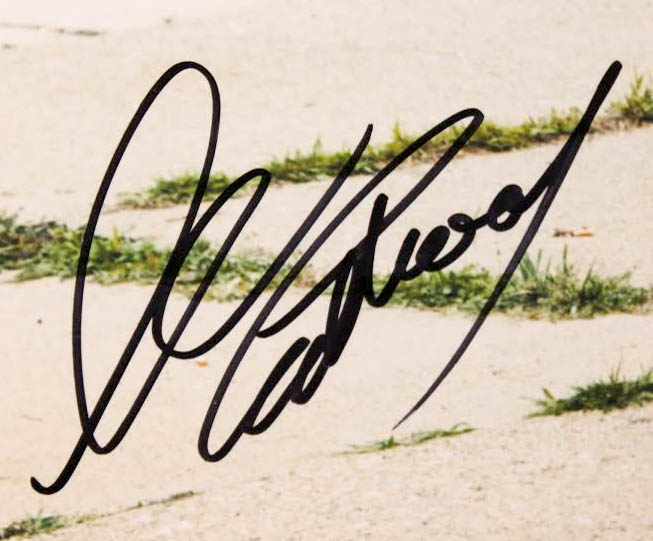 Clint Eastwood Signed "Gran Torino" 27x33 Custom Framed Photo Display (PSA COA) at PristineAuction.com Clint Eastwood Signed "Gran Torino" 27x33 Custom Framed Photo Display (PSA COA) at PristineAuction.com