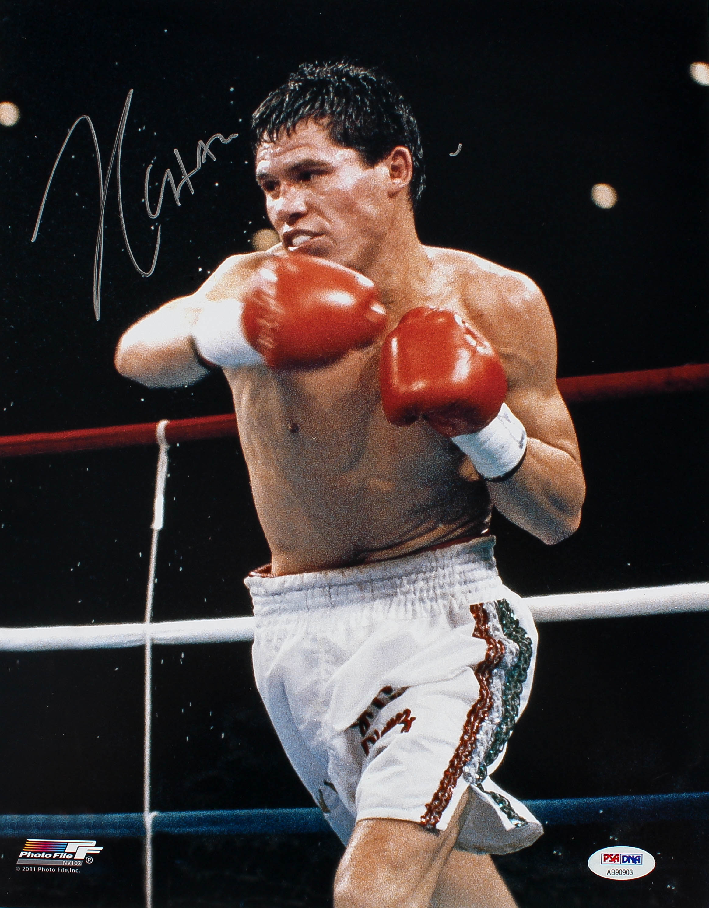 Julio Cesar Chavez Signed 11x14 Photo (PSA COA) at PristineAuction.com Julio Cesar Chavez Signed 11x14 Photo (PSA COA) at PristineAuction.com