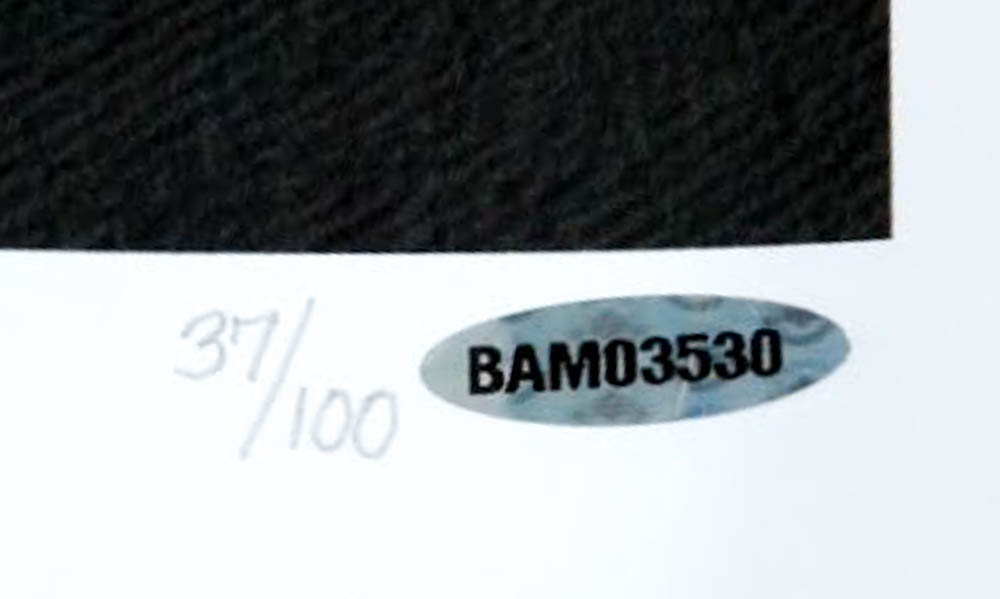 Muhammad Ali, Michael Jordan & Tiger Woods Signed "Legends of Sport" LE 25x49 Lithograph #37/100 (Upper Deck COA & PSA LOA) at PristineAuction.com Muhammad Ali, Michael Jordan & Tiger Woods Signed "Legends of Sport" LE 25x49 Lithograph #37/100 (Upper Deck COA & PSA LOA) at PristineAuction.com