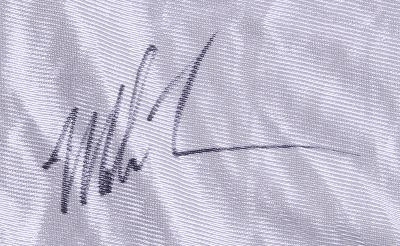 Mike Tyson Signed Everlast Boxing Shorts (JSA COA) at PristineAuction.com Mike Tyson Signed Everlast Boxing Shorts (JSA COA) at PristineAuction.com