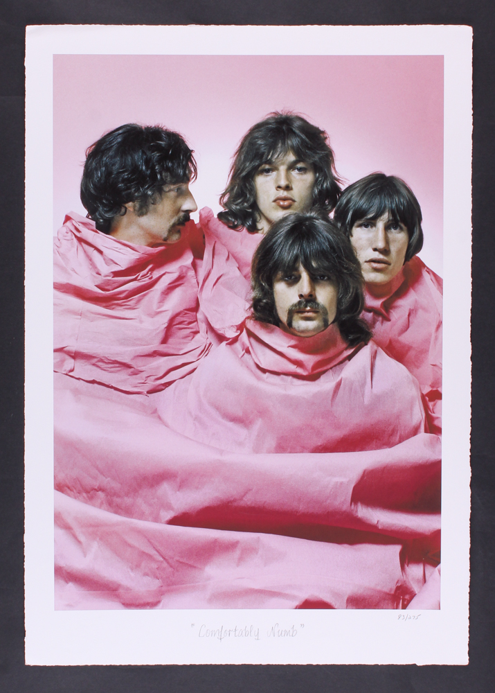 The Hulton Archive - Pink Floyd "Comfortably Numb" Limited Edition 16" x 23" Fine Art Giclee on Paper #83/275 (PA LOA) at PristineAuction.com The Hulton Archive - Pink Floyd "Comfortably Numb" Limited Edition 16" x 23" Fine Art Giclee on Paper #83/275 (PA LOA) at PristineAuction.com