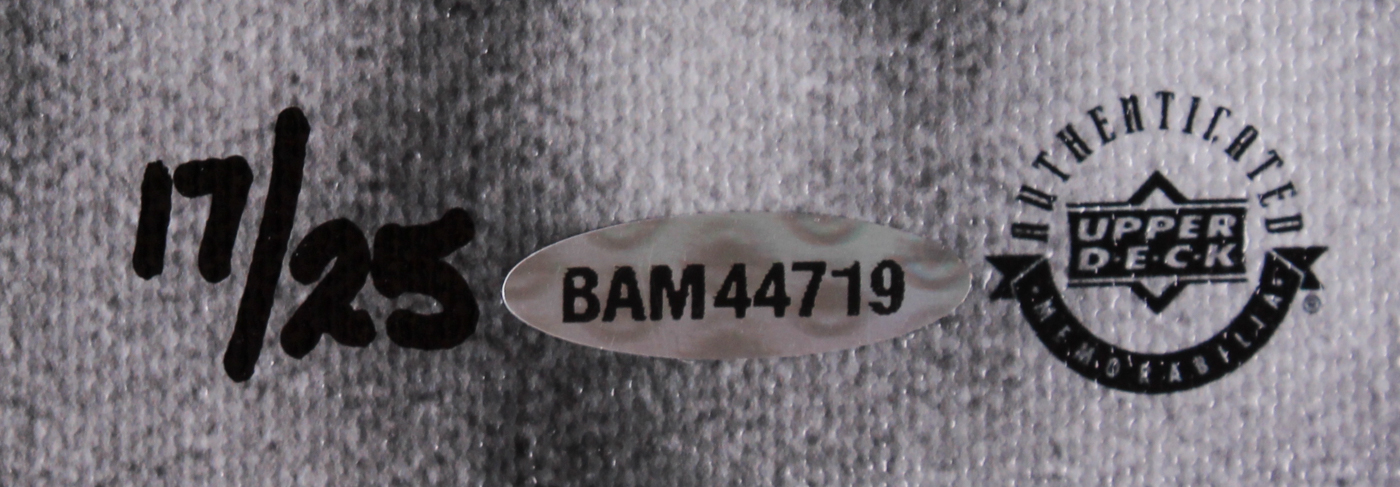 Gary Player Signed 20" x 24" Giclee Stretched Canvas (UDA COA) at PristineAuction.com Gary Player Signed 20" x 24" Giclee Stretched Canvas (UDA COA) at PristineAuction.com