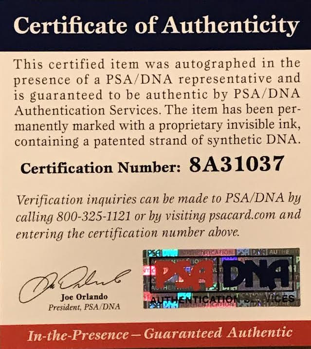 Kevin Garnett Signed Highlight Career Stat Timberwolves 34" x 42" Custom Framed Jersey (PSA COA) at PristineAuction.com Kevin Garnett Signed Highlight Career Stat Timberwolves 34" x 42" Custom Framed Jersey (PSA COA) at PristineAuction.com