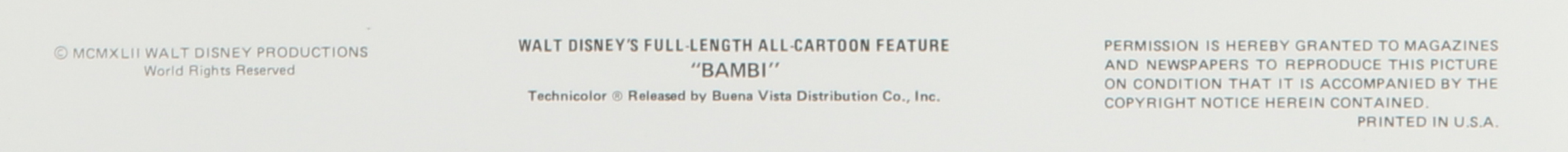 Walt Disney Productions "Bambi" Vintage 8x10 Publicity Photo at PristineAuction.com Walt Disney Productions "Bambi" Vintage 8x10 Publicity Photo at PristineAuction.com
