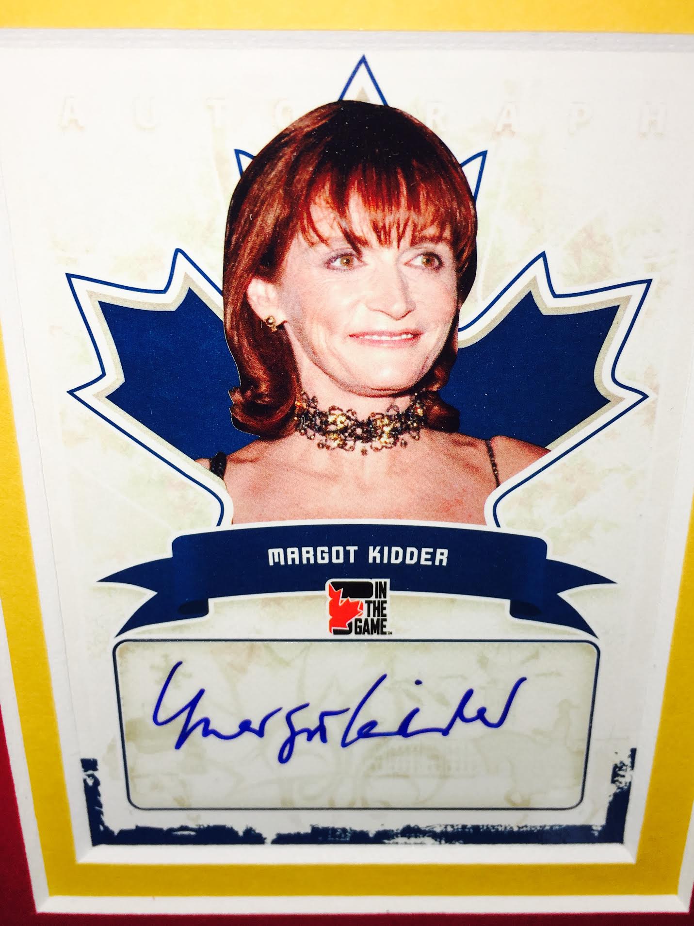 1978's Superman Cast 30x36 Custom Framed Cut Display Signed by (12) with Christopher Reeve, Gene Hackman, Margot Kidder (JSA LOA, JSA COA & PSA Encapsulated) at PristineAuction.com 1978's Superman Cast 30x36 Custom Framed Cut Display Signed by (12) with Christopher Reeve, Gene Hackman, Margot Kidder (JSA LOA, JSA COA & PSA Encapsulated) at PristineAuction.com