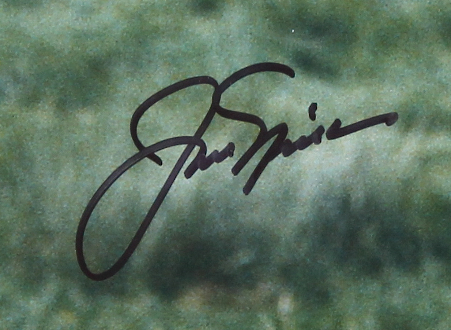 Jack Nicklaus Signed 1970 "The Masters" 16x20 Photo (Nicklaus Hologram & Steiner COA) at PristineAuction.com Jack Nicklaus Signed 1970 "The Masters" 16x20 Photo (Nicklaus Hologram & Steiner COA) at PristineAuction.com