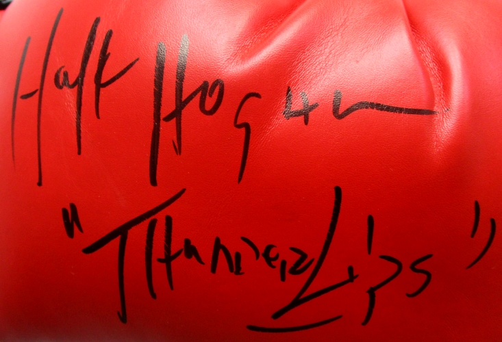 Hulk Hogan Signed Everlast Boxing Glove Inscribed "Thunder Lips" (JSA COA) at PristineAuction.com Hulk Hogan Signed Everlast Boxing Glove Inscribed "Thunder Lips" (JSA COA) at PristineAuction.com