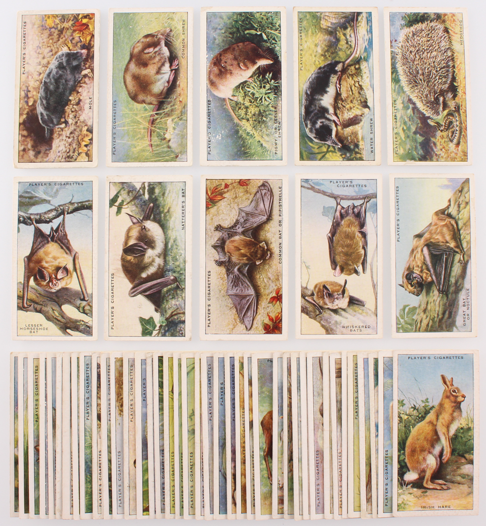 1939 Player's "Animals of the Countryside" Complete Set of (50) Cigarette Cards at PristineAuction.com 1939 Player's "Animals of the Countryside" Complete Set of (50) Cigarette Cards at PristineAuction.com