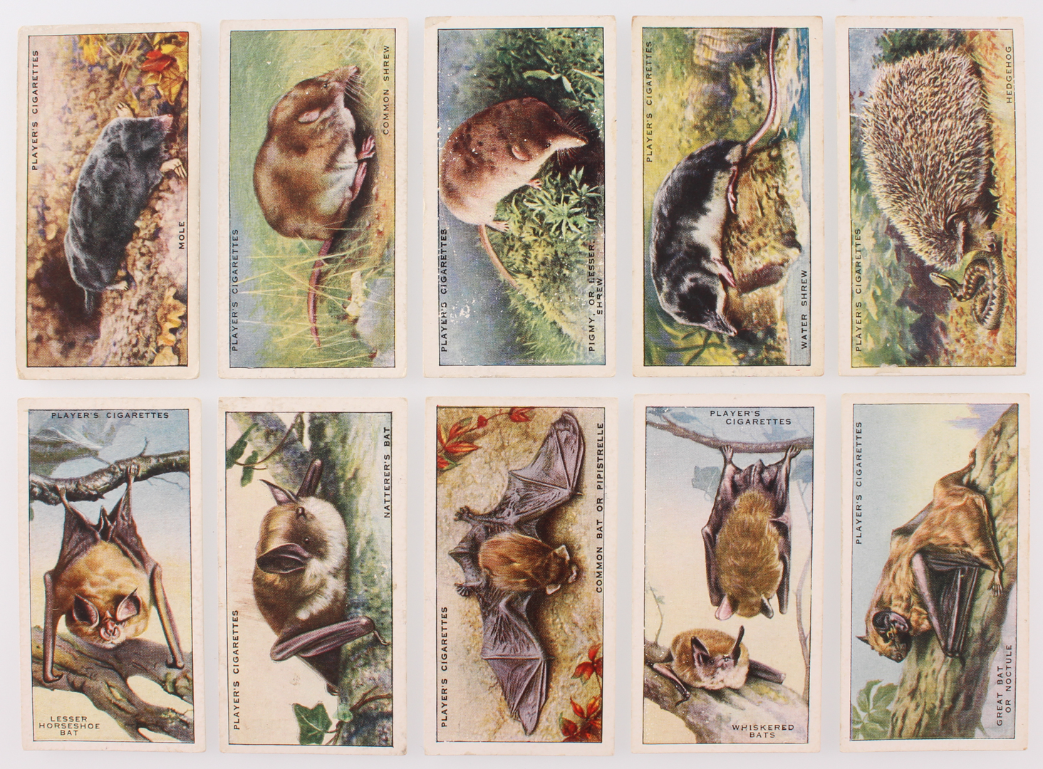 1939 Player's "Animals of the Countryside" Complete Set of (50) Cigarette Cards at PristineAuction.com 1939 Player's "Animals of the Countryside" Complete Set of (50) Cigarette Cards at PristineAuction.com