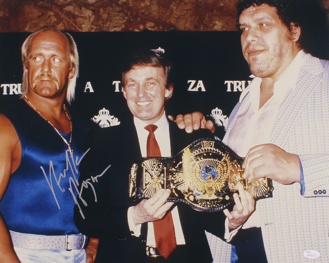 Hulk Hogan Signed WWE 16x20 Photo (JSA COA) at PristineAuction.com Hulk Hogan Signed WWE 16x20 Photo (JSA COA) at PristineAuction.com