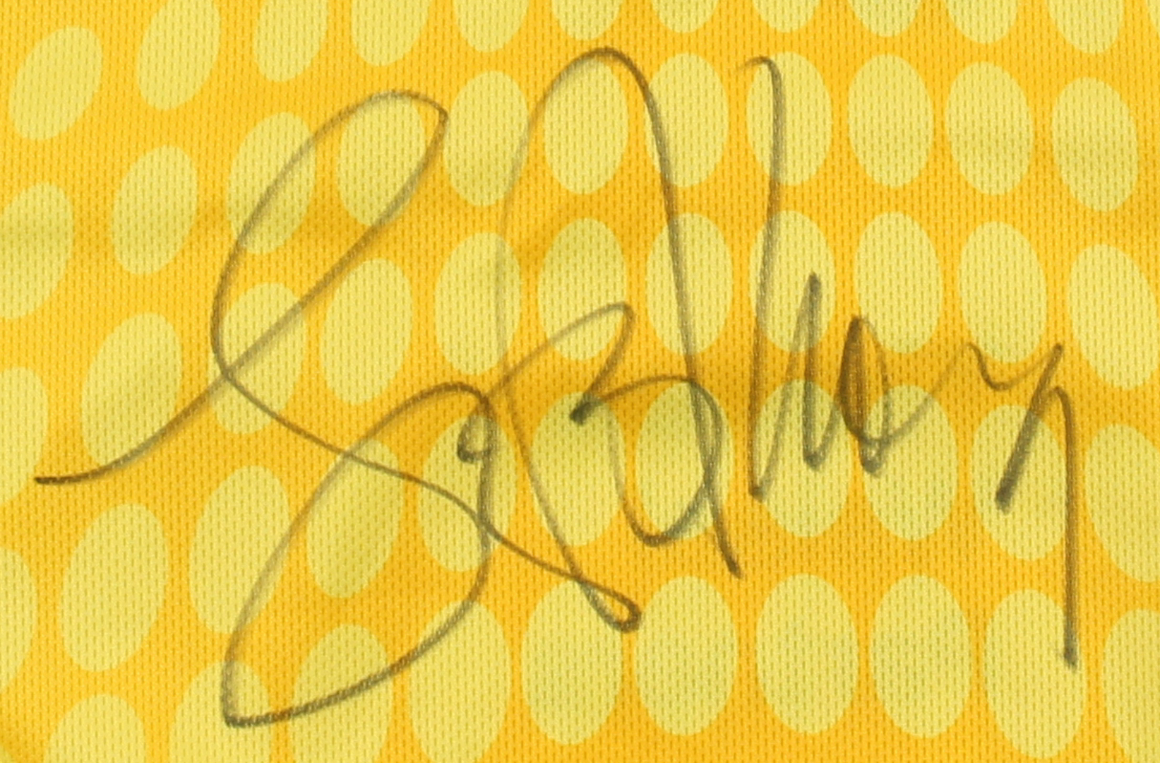 Lance Armstrong Signed USPS Cycling Jersey (Schwartz COA) at PristineAuction.com Lance Armstrong Signed USPS Cycling Jersey (Schwartz COA) at PristineAuction.com