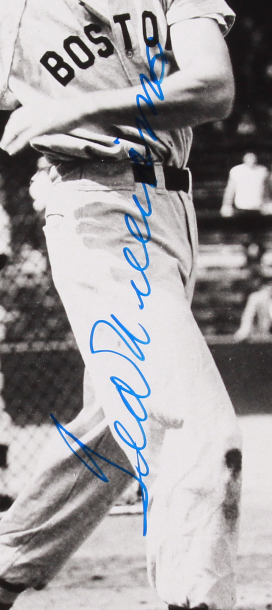 Ted Williams Signed Red Sox 20x23.5 Custom Framed Photo Display with Original 1949 Red Sox Scorecard (PSA LOA) at PristineAuction.com Ted Williams Signed Red Sox 20x23.5 Custom Framed Photo Display with Original 1949 Red Sox Scorecard (PSA LOA) at PristineAuction.com