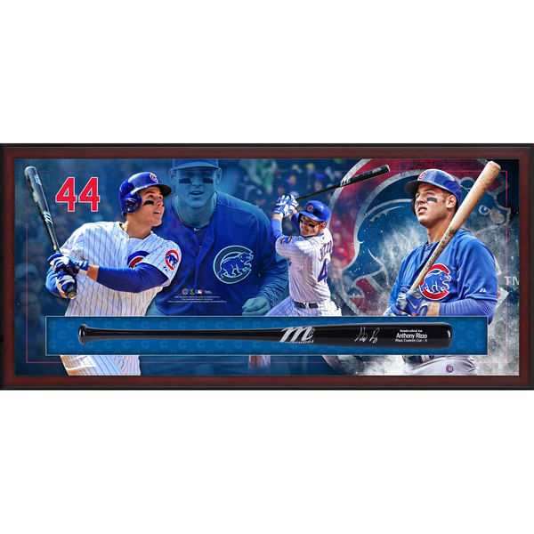 Anthony Rizzo Signed Cubs 23.5x49.5x3.25 Custom Framed Marucci Game Model Baseball Bat Shadowbox Display (Fanatics Hologram) at PristineAuction.com Anthony Rizzo Signed Cubs 23.5x49.5x3.25 Custom Framed Marucci Game Model Baseball Bat Shadowbox Display (Fanatics Hologram) at PristineAuction.com