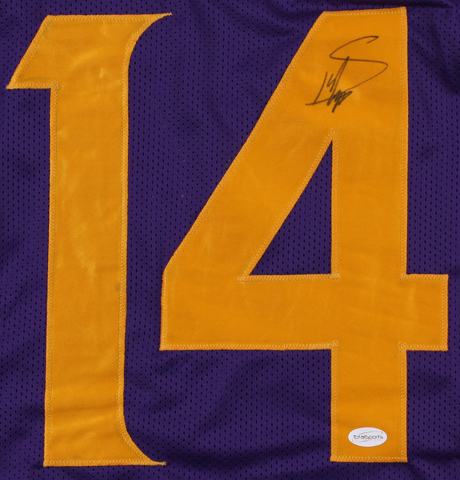 Stefon Diggs Signed Vikings Color Rush Jersey (TSE COA) at PristineAuction.com Stefon Diggs Signed Vikings Color Rush Jersey (TSE COA) at PristineAuction.com