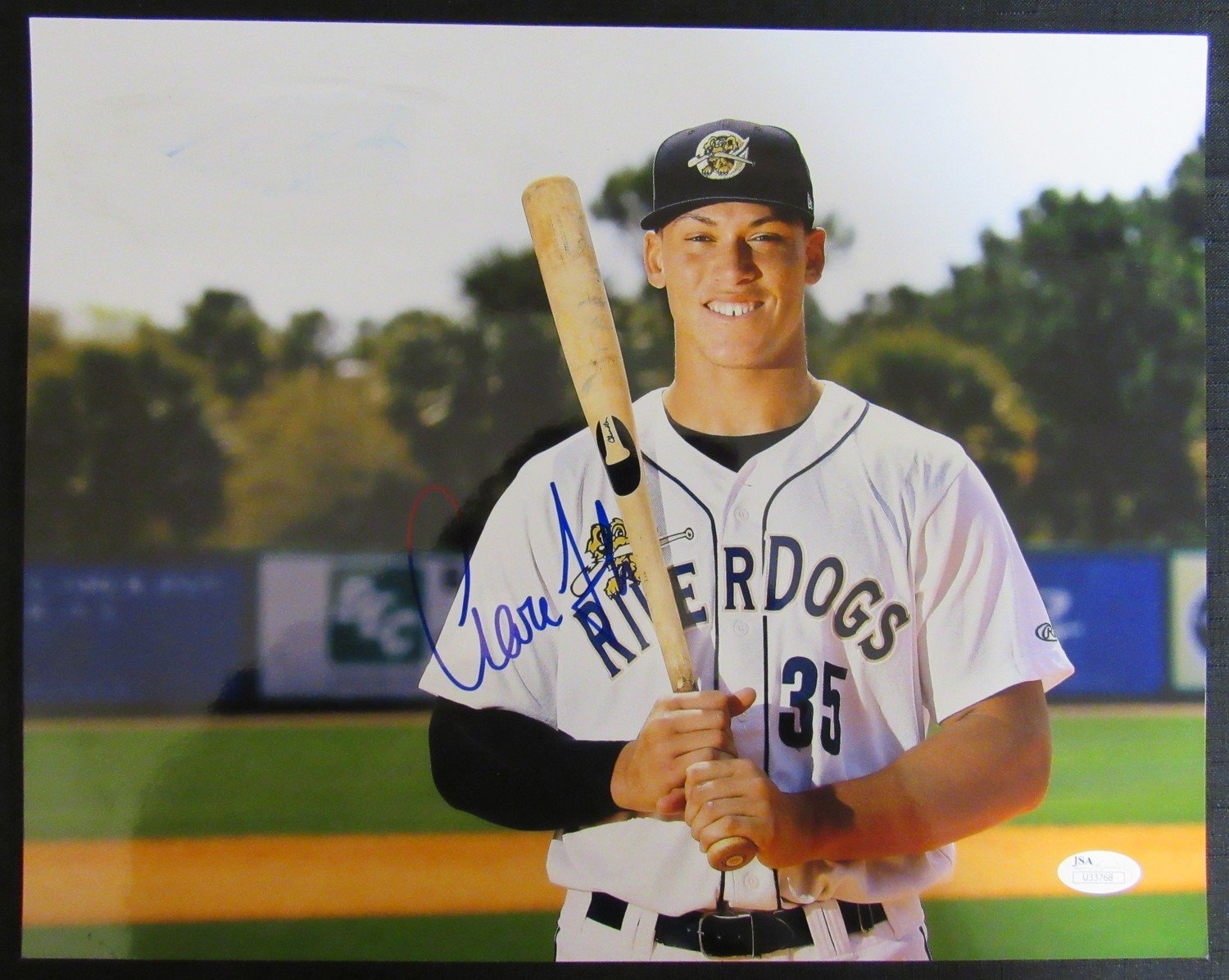 Aaron Judge Signed Charleston RiverDogs 11x14 Photo (JSA Hologram) at PristineAuction.com Aaron Judge Signed Charleston RiverDogs 11x14 Photo (JSA Hologram) at PristineAuction.com