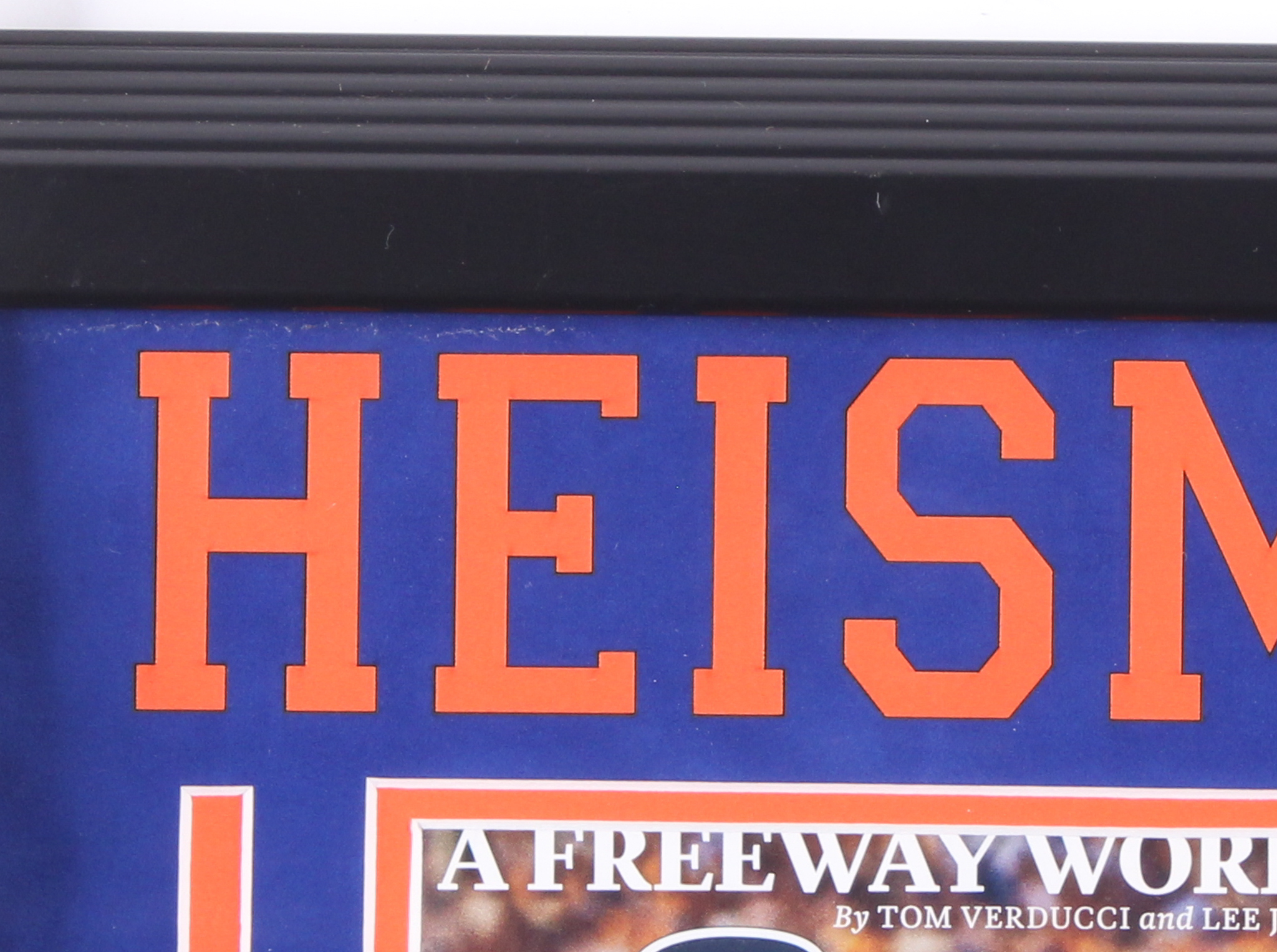 Tim Tebow Signed Florida Gators 16x18 Custom Framed Photo Display (JSA COA) at PristineAuction.com Tim Tebow Signed Florida Gators 16x18 Custom Framed Photo Display (JSA COA) at PristineAuction.com