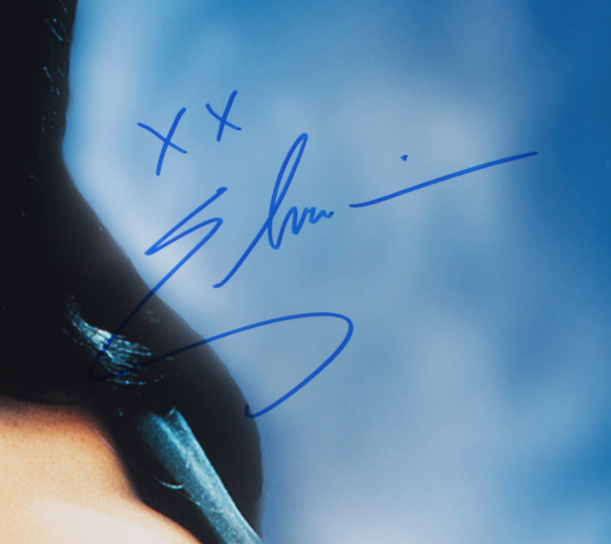 Cassandra Peterson Signed "Elvira" 16x20 Photo Incribed "XX" (JSA COA) at PristineAuction.com Cassandra Peterson Signed "Elvira" 16x20 Photo Incribed "XX" (JSA COA) at PristineAuction.com