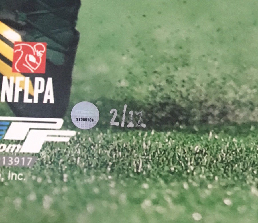 Aaron Rodgers Signed Packers 24x28 Limited Edition Custom Framed Photo (Steiner COA) at PristineAuction.com Aaron Rodgers Signed Packers 24x28 Limited Edition Custom Framed Photo (Steiner COA) at PristineAuction.com