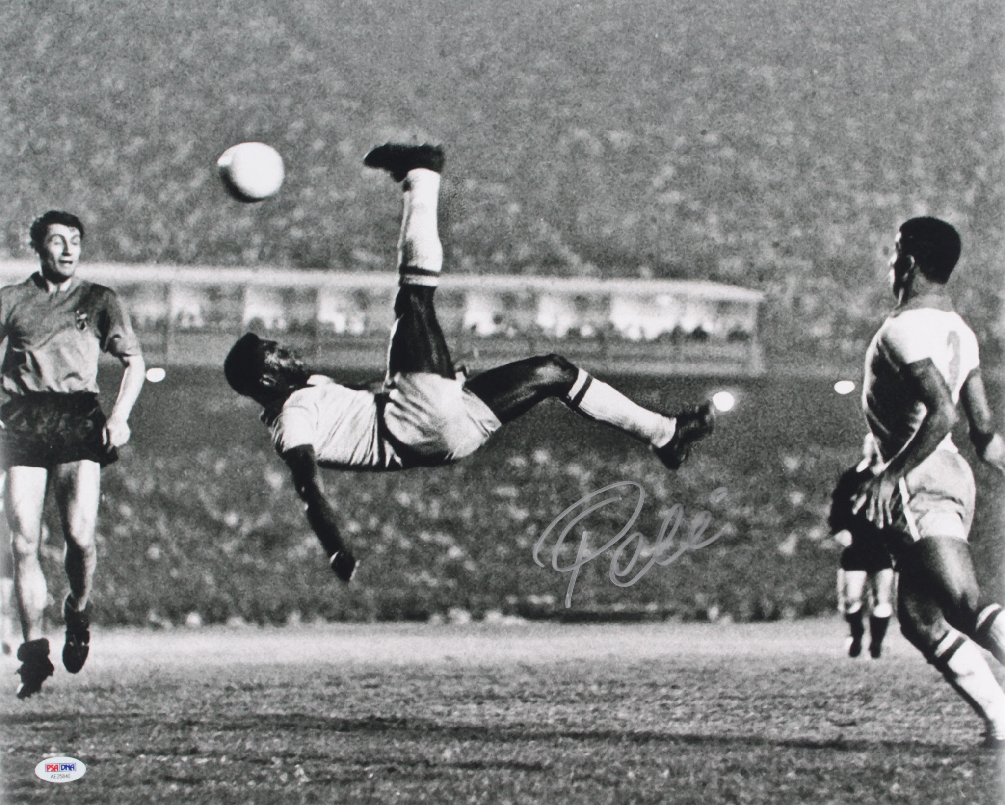 Pele Signed 1965 Bicycle Kick 16x20 Photo (PSA COA) at PristineAuction.com Pele Signed 1965 Bicycle Kick 16x20 Photo (PSA COA) at PristineAuction.com