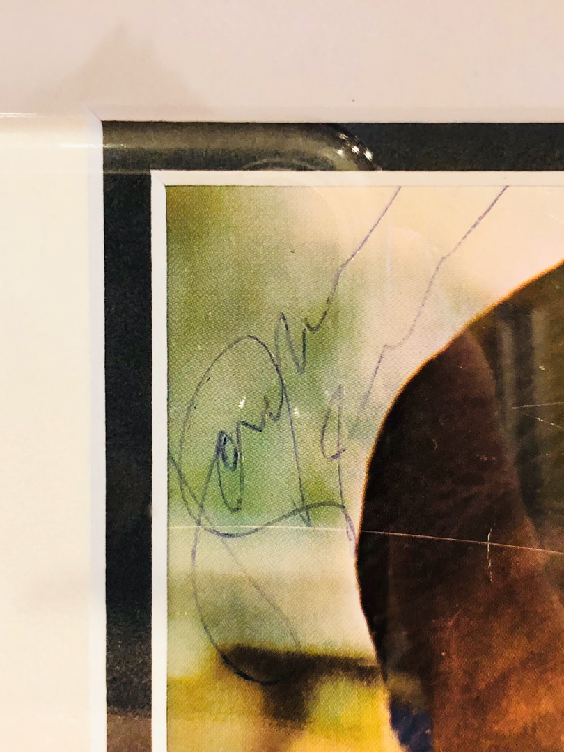 "The Hustler" 26x28 Custom Framed Display Cast-Signed by (5) with Jackie Gleason, Jake LaMotta, Piper Laurie, George C. Scott & Paul Newman (JSA & PSA LOA) (JSA, PSA & Beckett LOA) at PristineAuction.com "The Hustler" 26x28 Custom Framed Display Cast-Signed by (5) with Jackie Gleason, Jake LaMotta, Piper Laurie, George C. Scott & Paul Newman (JSA & PSA LOA) (JSA, PSA & Beckett LOA) at PristineAuction.com