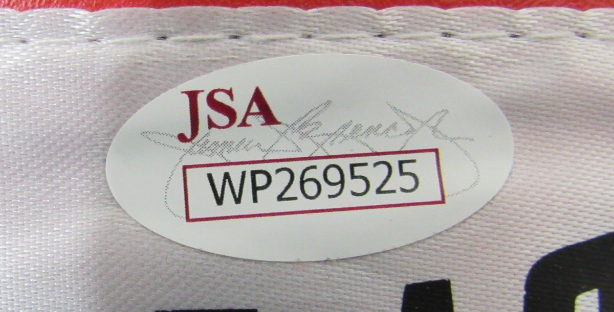 Mike Tyson Signed Everlast Boxing Glove (JSA COA) at PristineAuction.com Mike Tyson Signed Everlast Boxing Glove (JSA COA) at PristineAuction.com