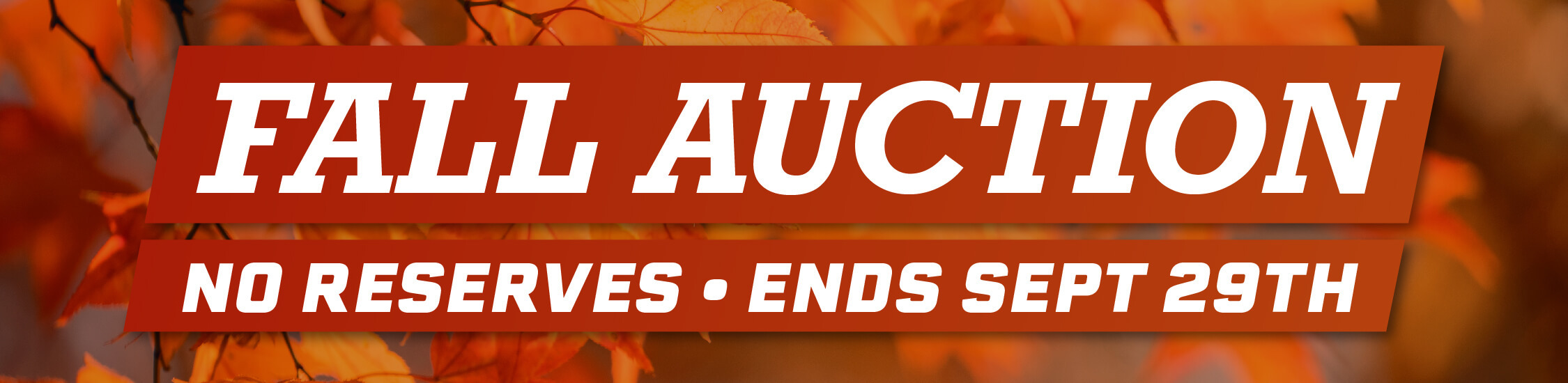 Fall Auction
